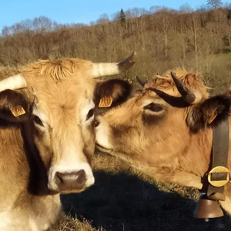 Resort Fleurs D'aubrac